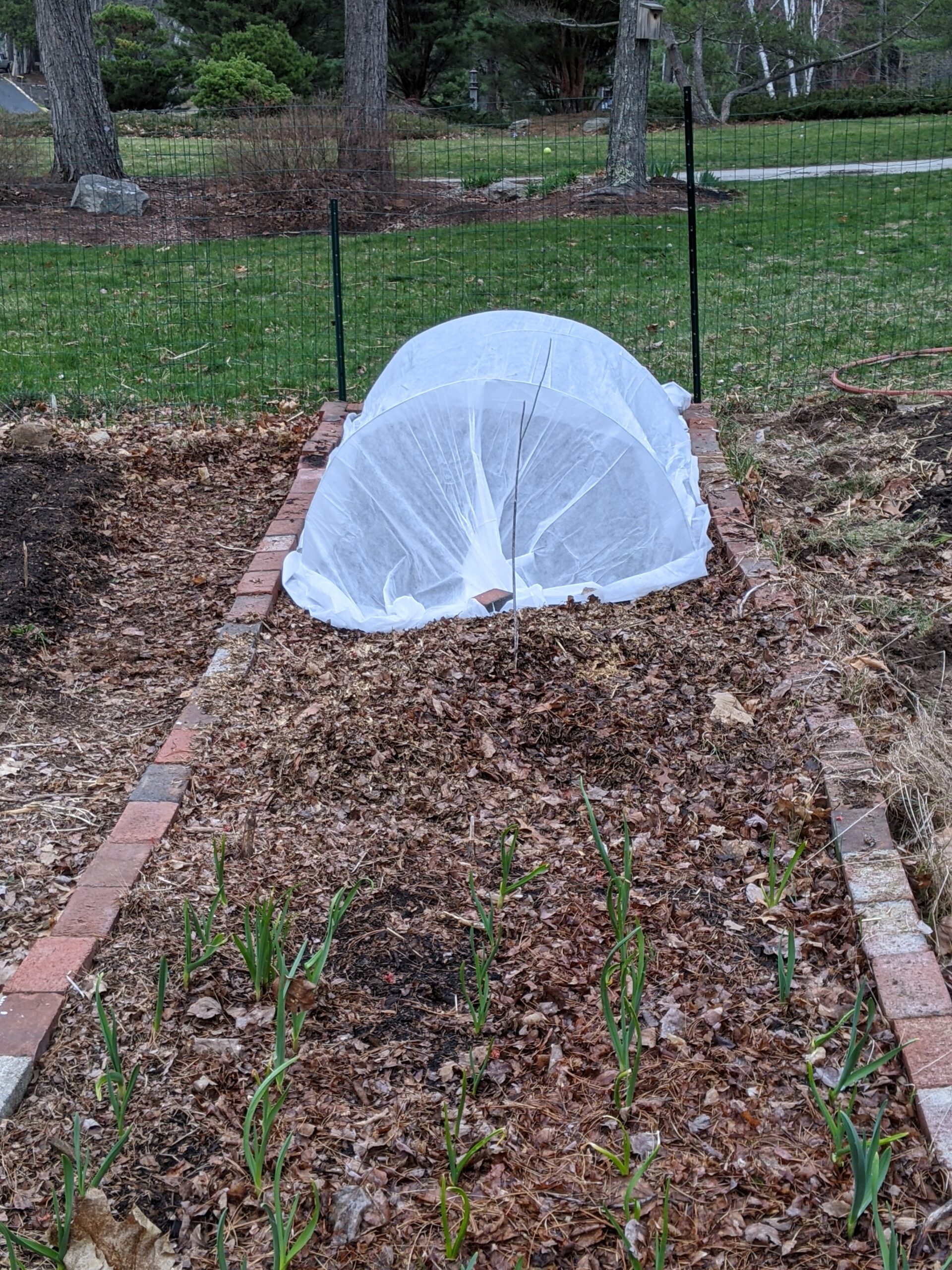 Image showcasing Keeping Your Garden Safe from Pests – Warrior Fresh Content