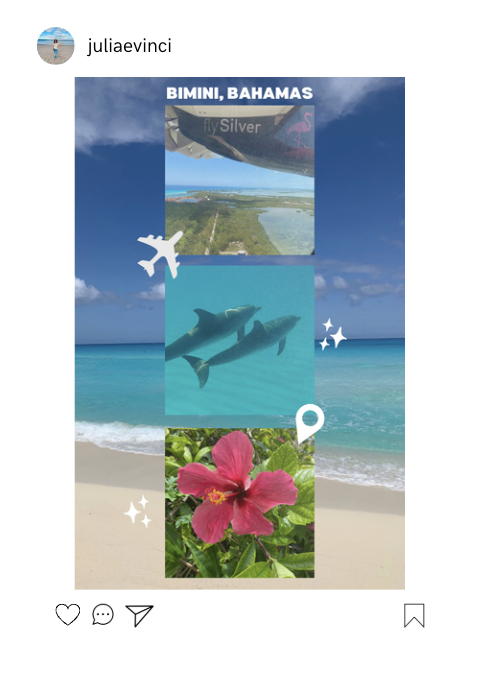 Alt Text: Background photo of a beach. Three pictures layered on top with text saying “Bimin, Bahamas”. The Top photo is a view looking out from an airplane window, the middle photo is two dolphins swimming underwater side by side, bottom picture is a pink hibiscus flower. 
